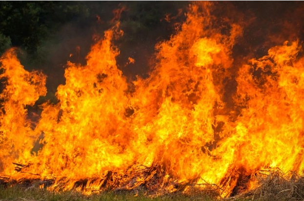 С начала года в республике произошло 1036 пожаров